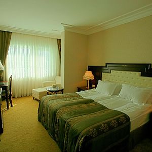 Standaard Kamer met een King Size Bed